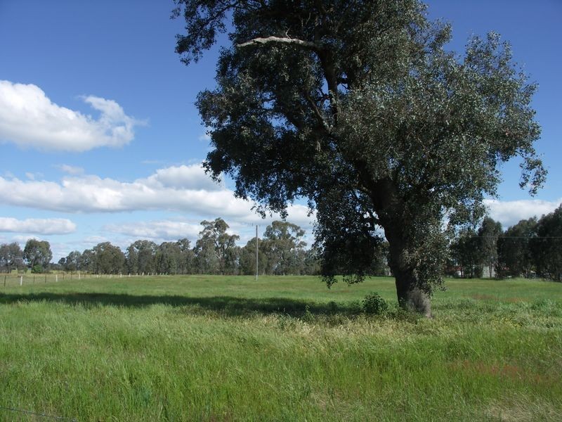 1/24 Inglis Road, Benalla VIC 3672