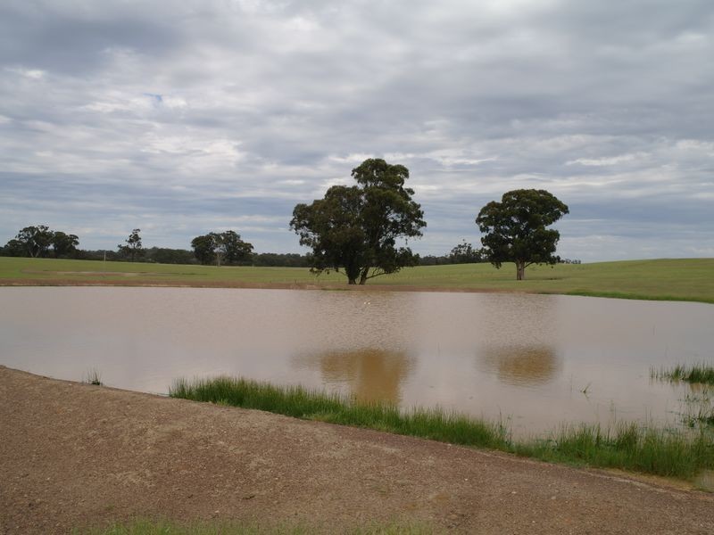 899 Tarnook Road, Benalla VIC 3672