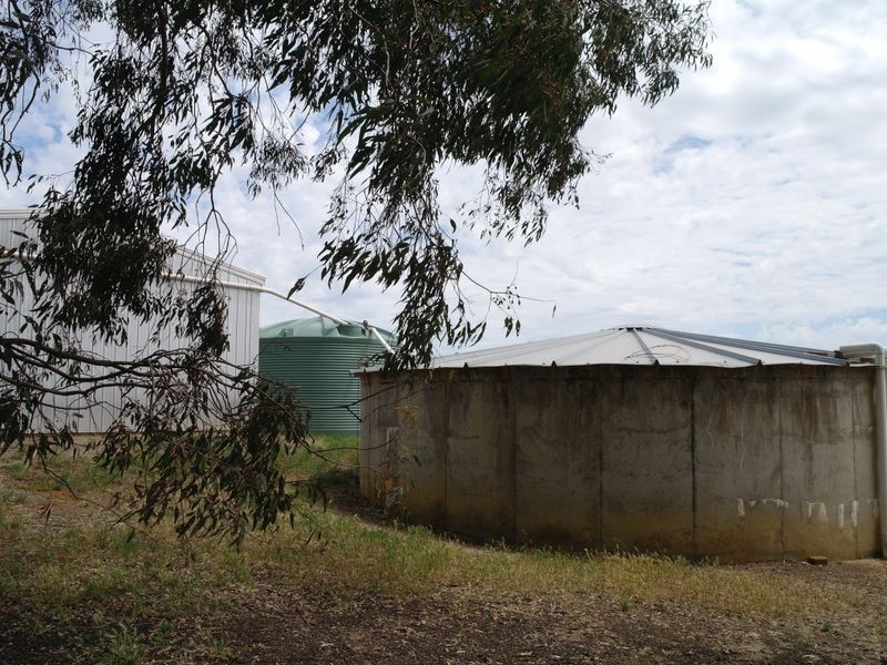 899 Tarnook Road, Benalla VIC 3672