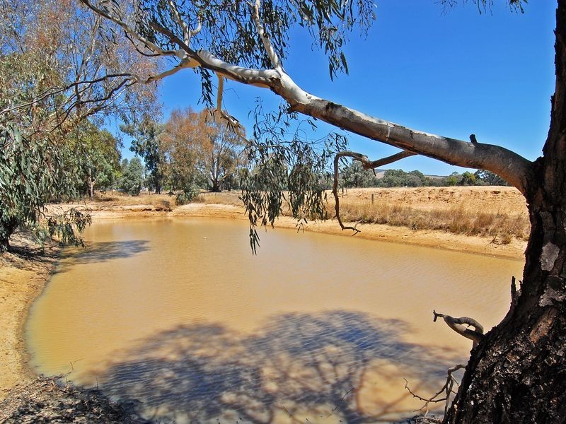 810 Benalla – Warrenbayne Road Warrenbayne, Benalla VIC 3672