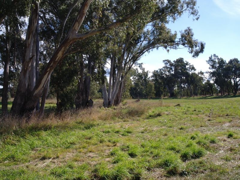 384 Swanpool – Moorngag Road Swanpool, Benalla VIC 3672