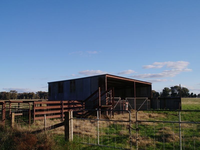 125 Winton-Lurg Road Winton, Benalla VIC 3672