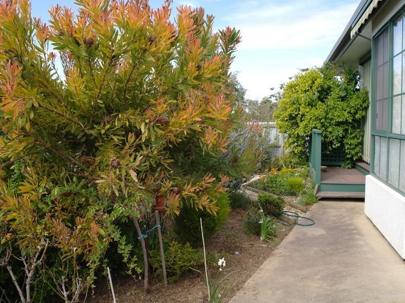 26 Salisbury Street, Benalla VIC 3672