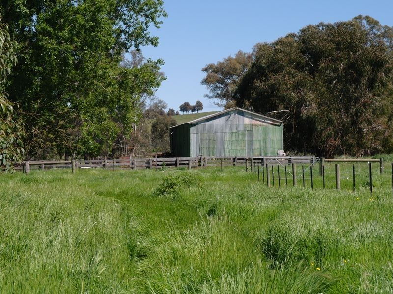 934 Benalla – Warrenbayne Road, Benalla VIC 3672