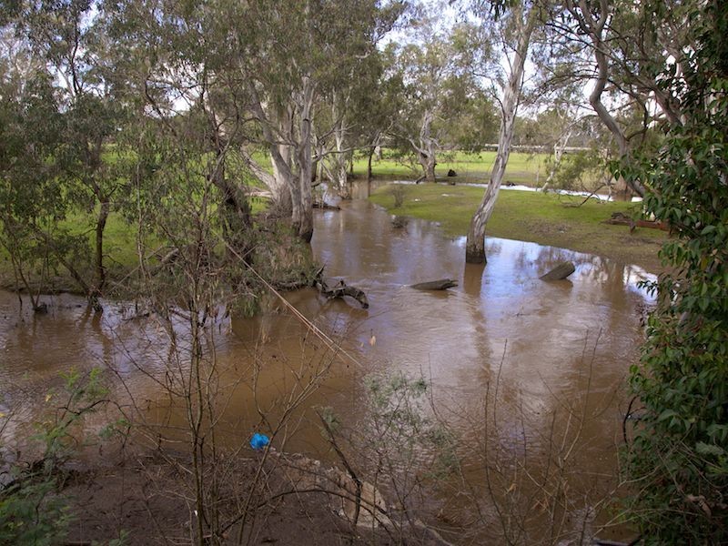 93 Grant Drive, Benalla VIC 3672