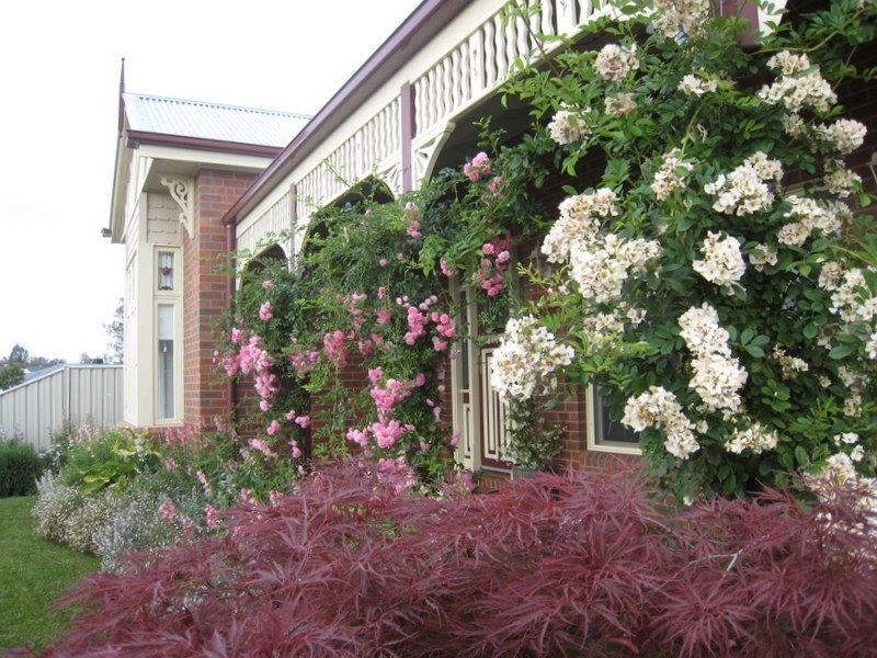 14 Ironbark Drive, Benalla VIC 3672