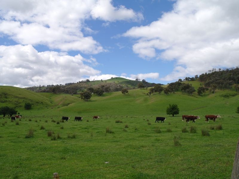 1337 Benalla – Whitfield Road Myrrhee, Benalla VIC 3672