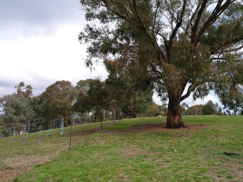 881 Upper Lurg Road, Benalla VIC 3672