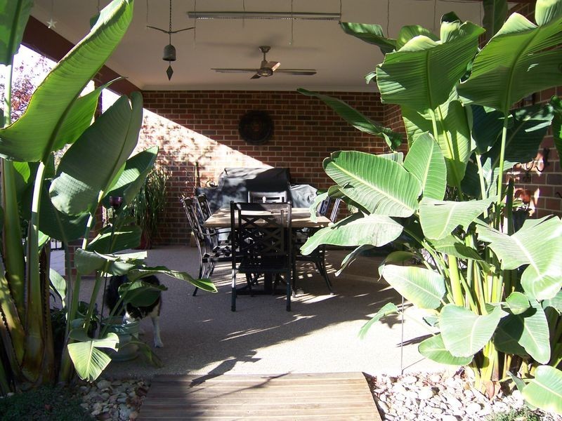 19 Olivers Road, Benalla VIC 3672