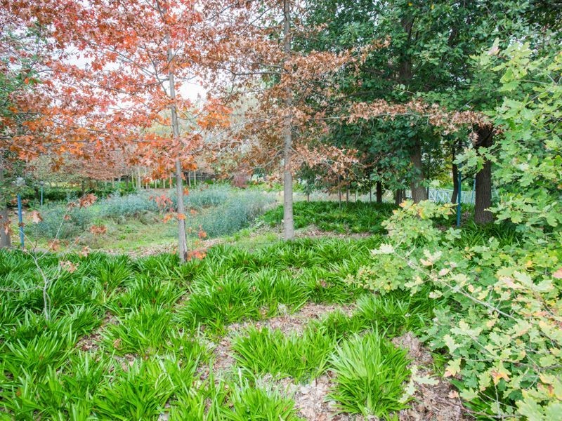 21 Maginness Street, Benalla VIC 3672