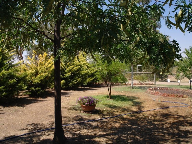 55 Yundool Road St James, Benalla VIC 3672