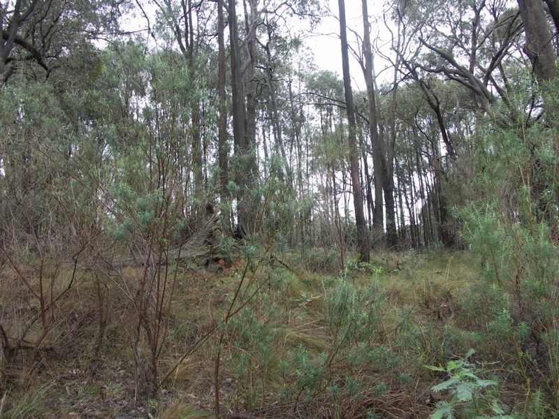 Lot 26 Gandini Lane, Lima East VIC 3673