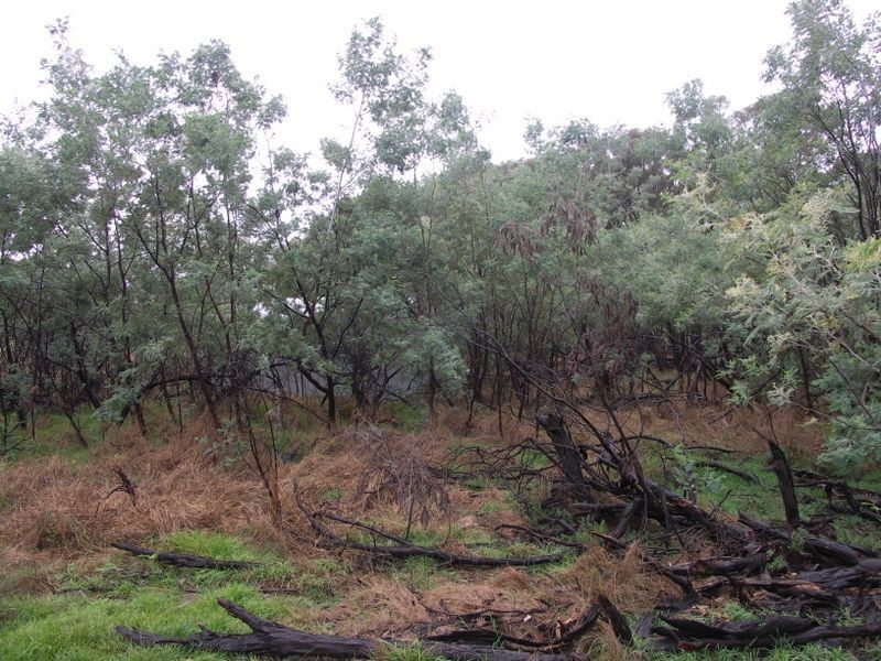 Lot 26 Gandini Lane, Lima East VIC 3673