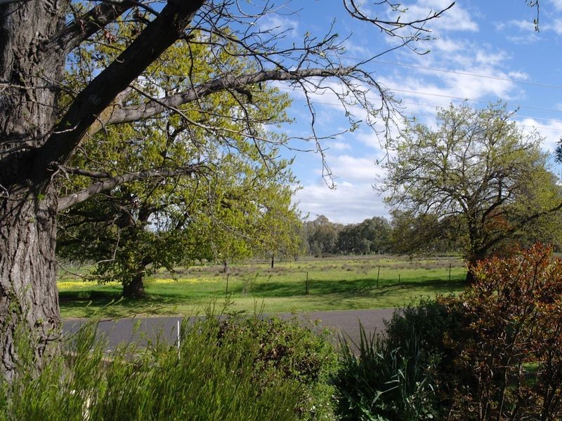 24 South Street, Benalla VIC 3672