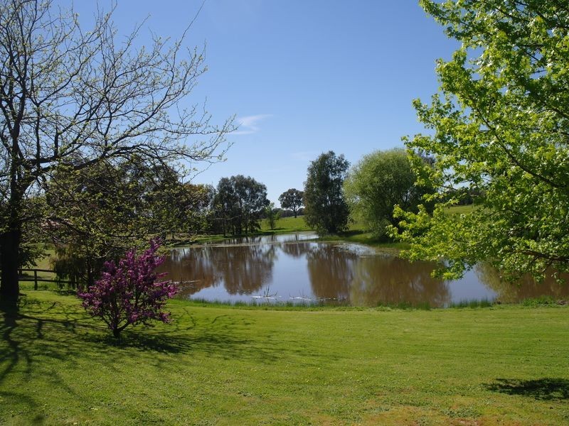 55 Willis Little Drive, Benalla VIC 3672