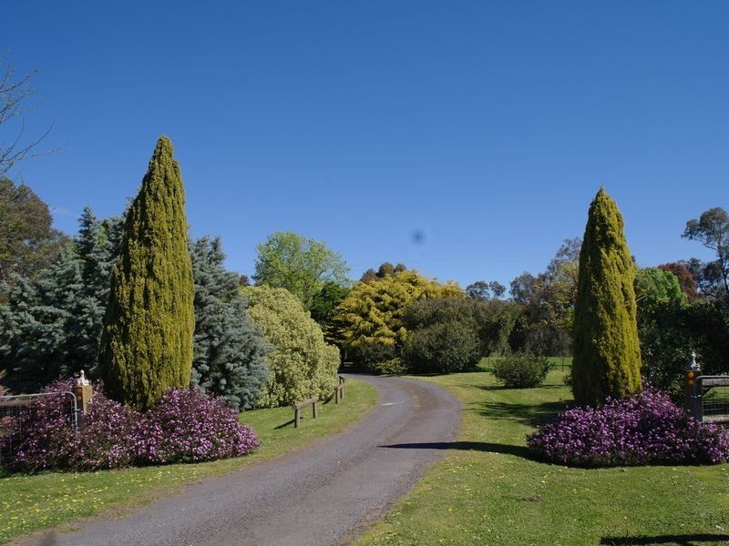 55 Willis Little Drive, Benalla VIC 3672