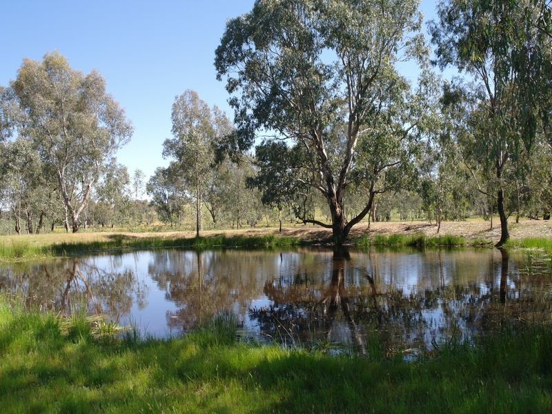 1959 Samaria Road Moorngag, Benalla VIC 3672