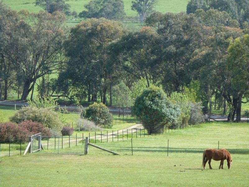 704 Upper Lurg Road Upper Lurg, Benalla VIC 3672