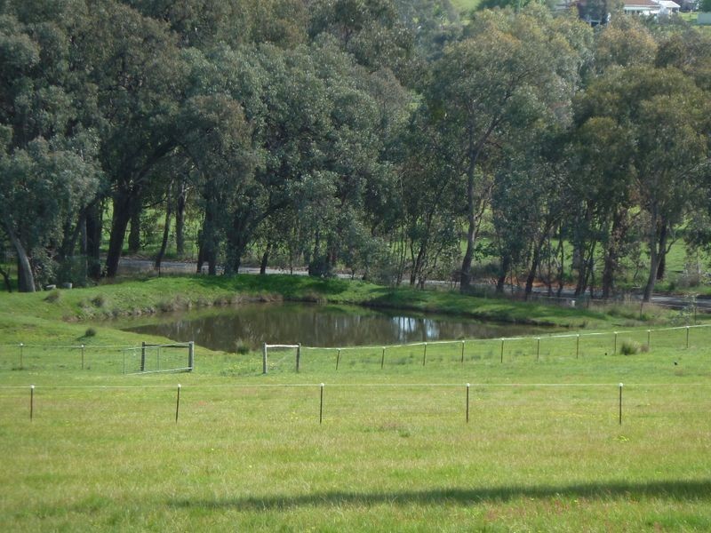 704 Upper Lurg Road Upper Lurg, Benalla VIC 3672