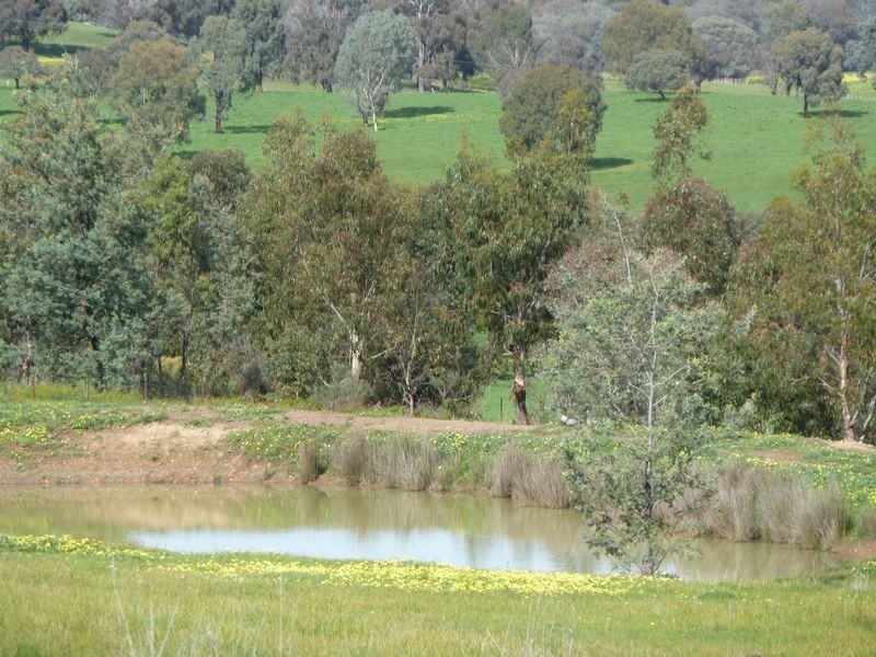 704 Upper Lurg Road Upper Lurg, Benalla VIC 3672