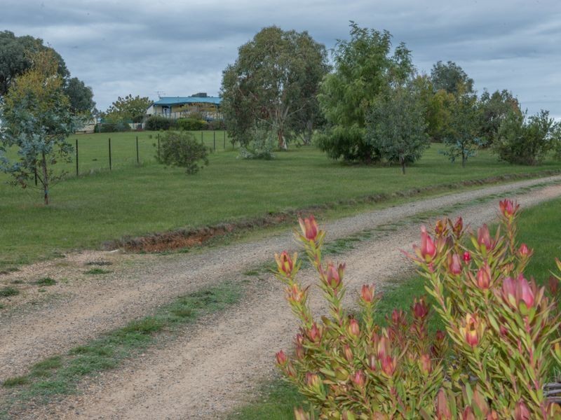 704 Upper Lurg Road Upper Lurg, Benalla VIC 3672