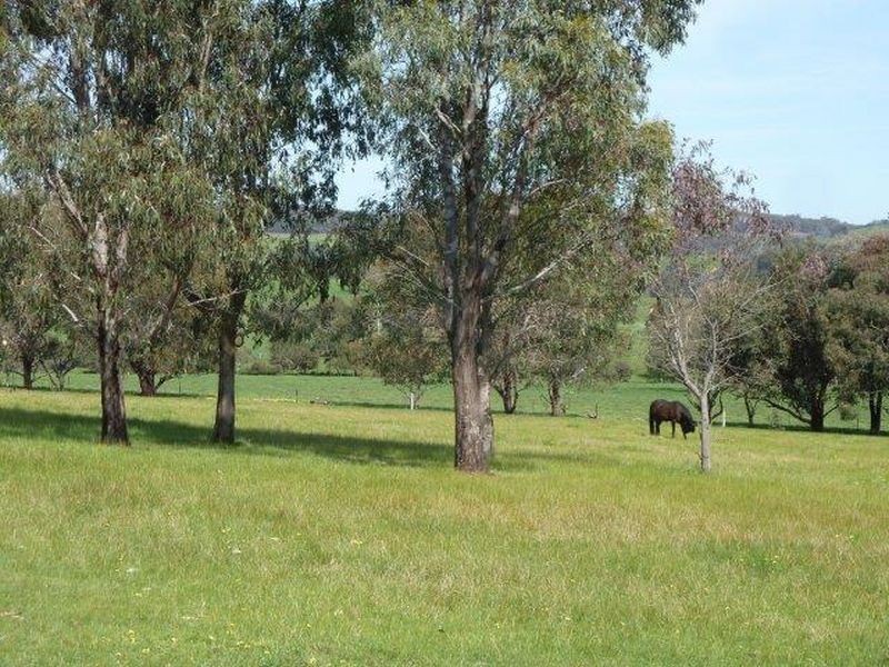 704 Upper Lurg Road Upper Lurg, Benalla VIC 3672