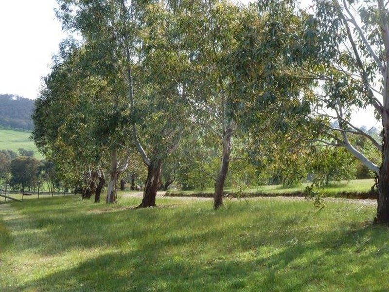 704 Upper Lurg Road Upper Lurg, Benalla VIC 3672