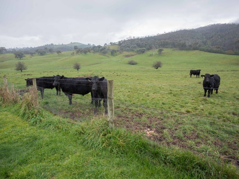 1337 Benalla – Whitfield Road Myrrhee, Benalla VIC 3672