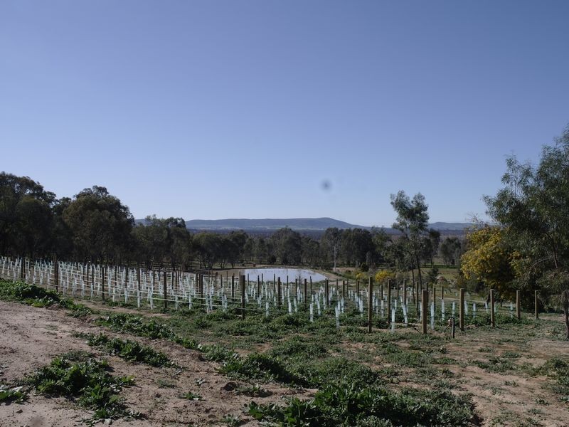 783 Lake Mokoan Road, Benalla VIC 3672