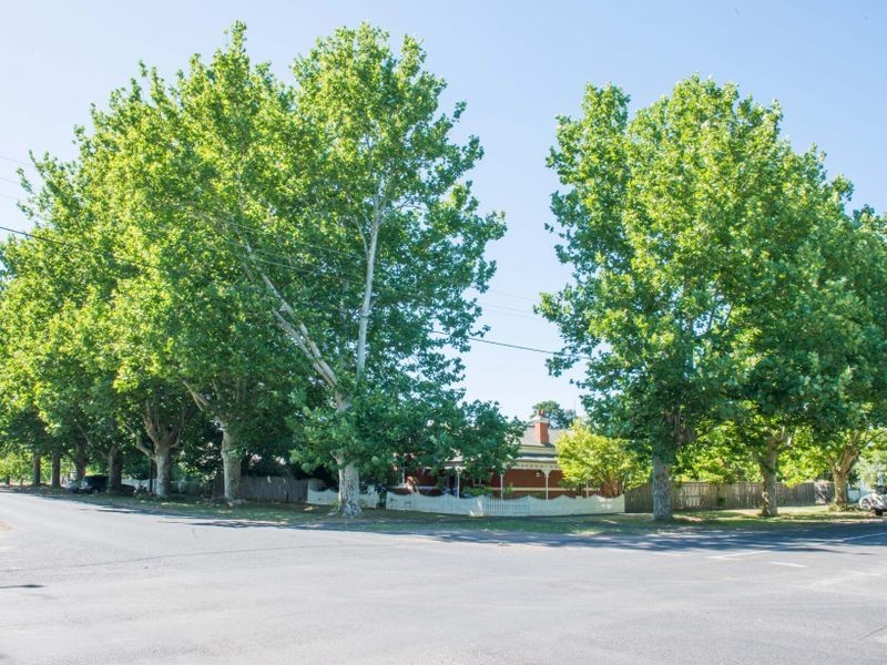 22 Benson Street, Benalla VIC 3672