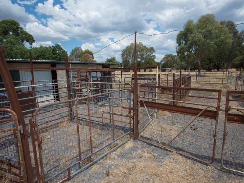 51 North Road, Benalla VIC 3672