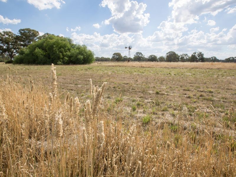 20 Stapleton Court, Benalla VIC 3672