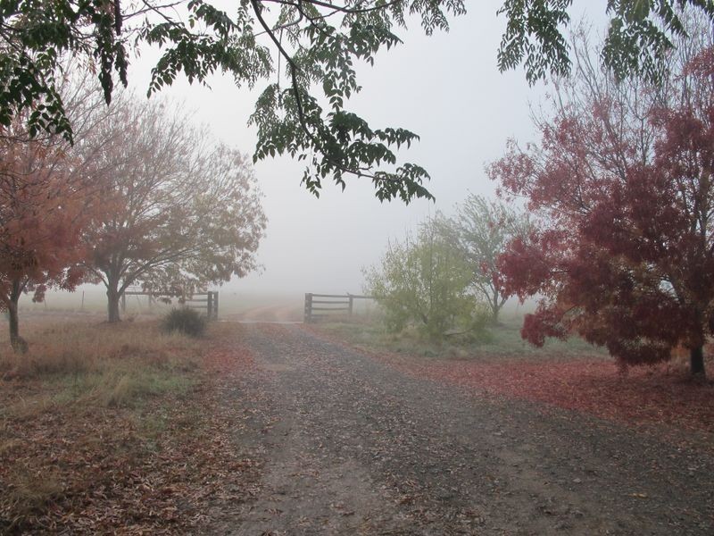 580 Benalla-Tatong Road, Benalla VIC 3672