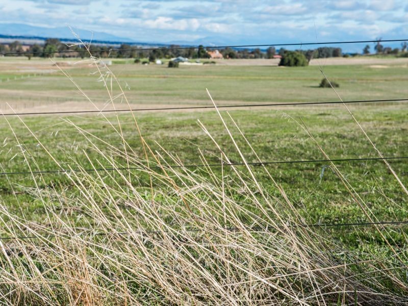 Lot 32 Lakeside drive Lake Mokoan, Benalla VIC 3672