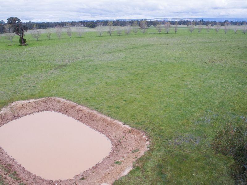 819 SAMARIA ROAD, Benalla VIC 3672