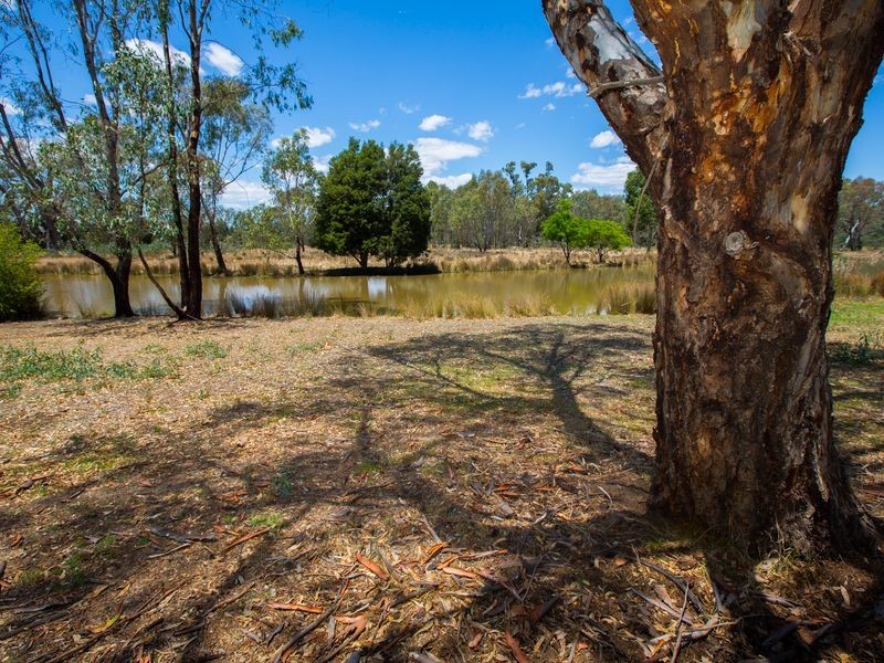 13 Shawbrook Ave, Benalla VIC 3672