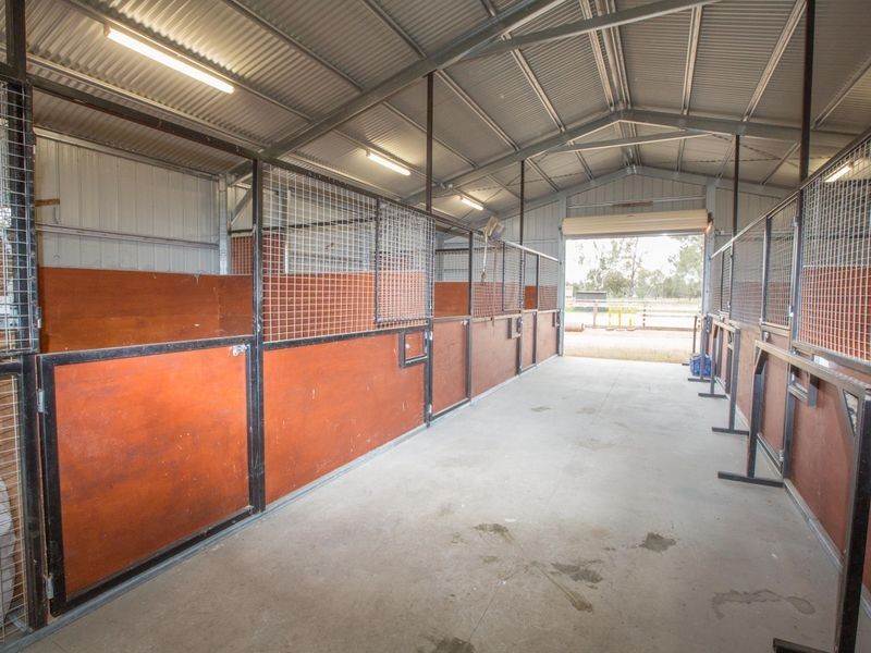 309 Steel Road, Benalla VIC 3672