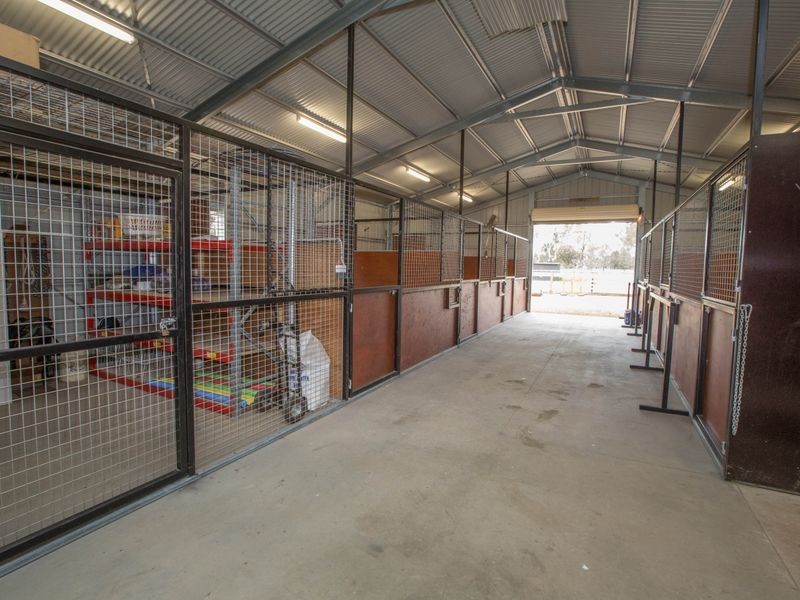 309 Steel Road, Benalla VIC 3672