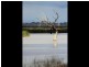 751 Lake Mokoan Road Chesney Vale, Benalla VIC 3672