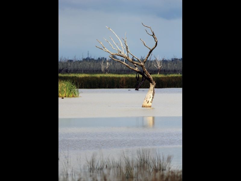 751 Lake Mokoan Road Chesney Vale, Benalla VIC 3672