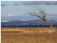 Lot 39 Lakeside Drive Lake Mokoan, Benalla VIC 3672