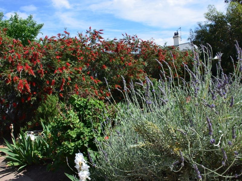 87 Mackellar Street, Benalla VIC 3672