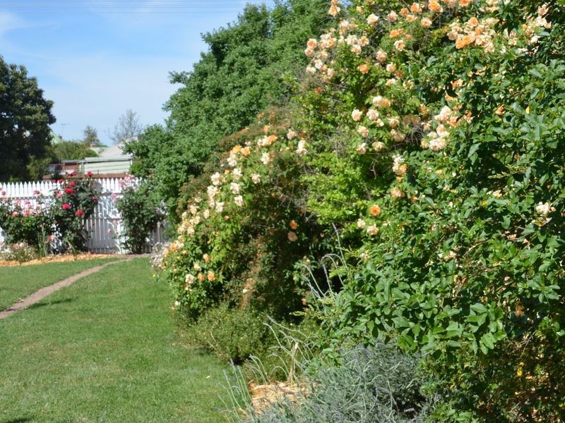 87 Mackellar Street, Benalla VIC 3672