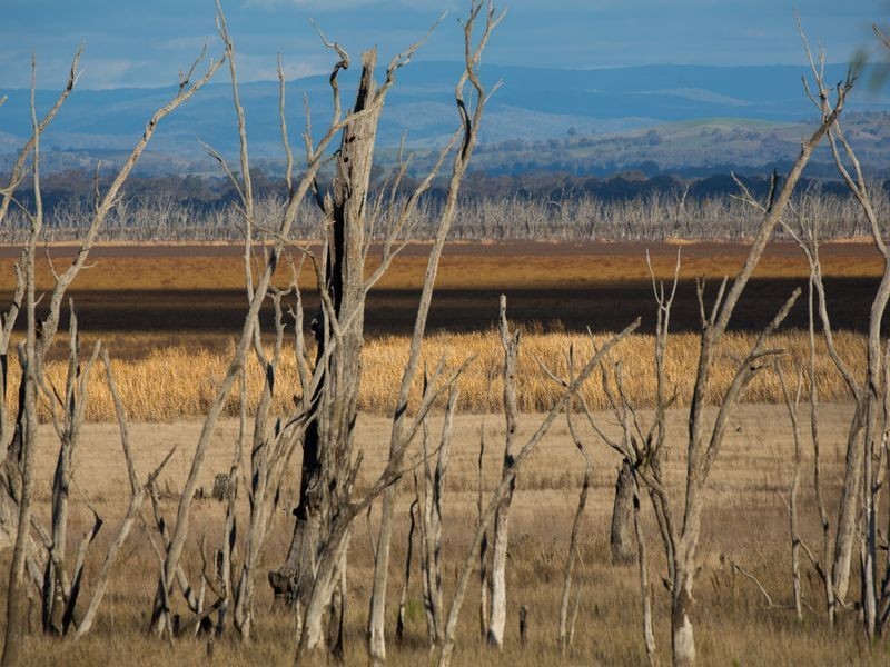 44/ Lakeside Drive Lake Mokoan, Benalla VIC 3672