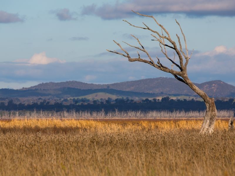Lot 47/ Lakeside Drive Lake Mokoan, Benalla VIC 3672