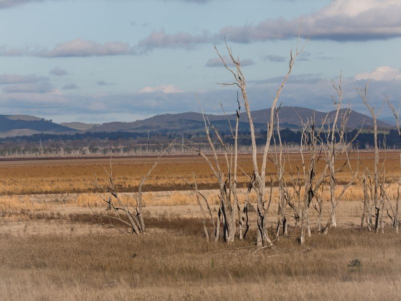 56/ Lakeside Drive Lake Mokoan, Benalla VIC 3672