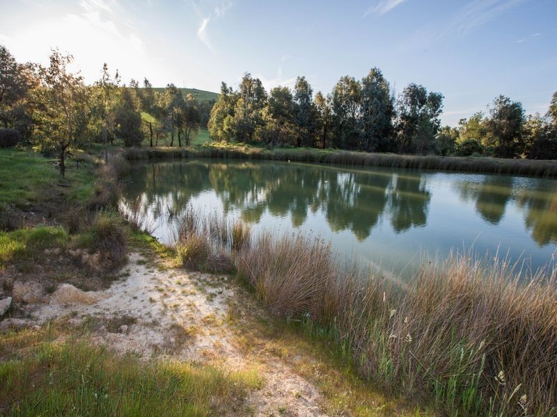 239 Granite, Benalla VIC 3672