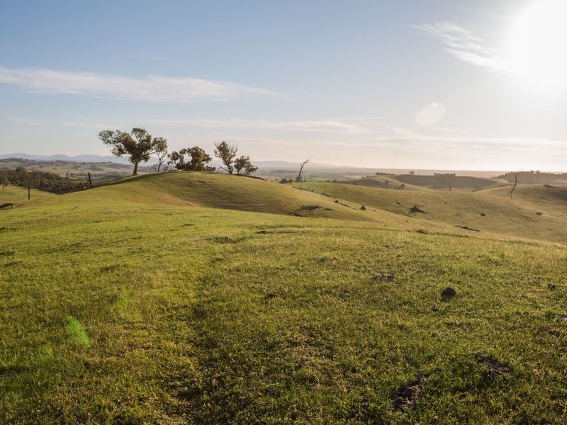 239 Granite, Benalla VIC 3672