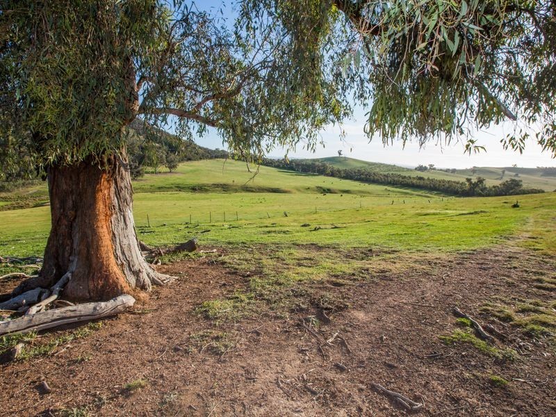 239 Granite, Benalla VIC 3672