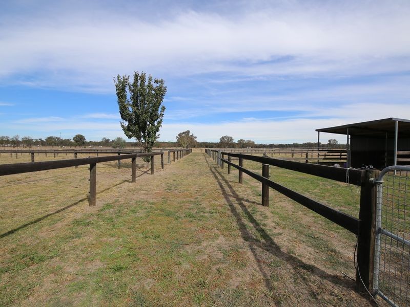 361 Baddaginnie – Benalla Rd, Benalla VIC 3672